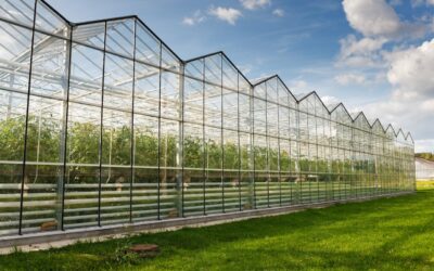 Karlsruhe: Detektei ermittelt für Gartenbau-Unternehmen