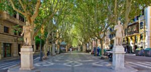 Mallorca: Ermittlungen offenbaren Diebstahl in Luxushotel