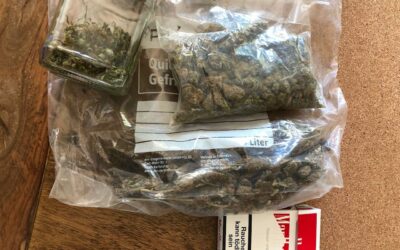 Ermittlungen in Lich: große Mengen Marihuana sichergestellt