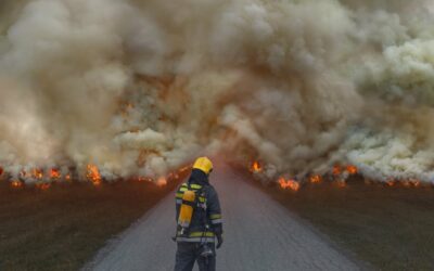 Brandstiftung in Breuberg: Versicherungsbetrug ausgeschlossen