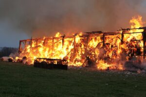 Landkreis Neuwied: Brand in Pferdestall Versicherungsbetrug?